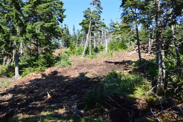 DSC_0127 - Meerparzellen - Immobilie in Kanada